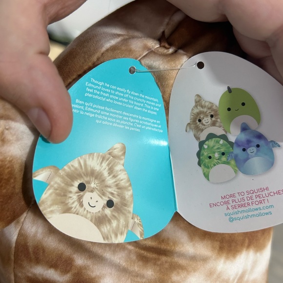 NWT Squishmallows Edmund the Pterodactyl Claire’s Exclusive 8” Plush - Picture 3 of 3